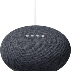 Google Nest Mini Bluetooth Speaker, Brazilian Model, Multi Language with English Compatibility Assistant (2nd Gen) Chalk with Premium Cleaning Cloth and EU/US Power Plug Adapter, Bulk Packaging