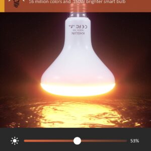 WiFi Smart Light Bulbs 150W Equivalent, 16W Dimmable 1600LM BR30 Flood Smart Bulb Works with Alexa Google Home No Hub, E26 Color Changing LED Alexa Light Bulb, 2700K-6500K RGBCW CRI>90, 4 Pack