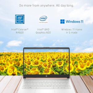 HP 14 Laptop, Intel Celeron N4020, 4 GB RAM, 64 GB Storage, 14-inch Micro-edge HD Display, Windows 11 Home, Thin & Portable, 4K Graphics, One Year of Microsoft 365 (14-dq0030nr, Pale Rose Gold)