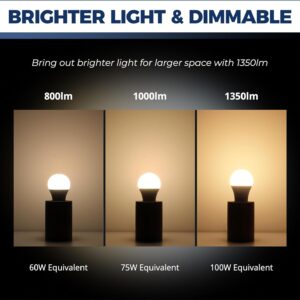 Smart Bulb 100W Equivalent, 1350LM 11W WiFi Light Bulb Compatible with Alexa/Google Assistant/Smart Life, A19 E26 RGBCW Color Changing, No Hub Required, 2.4G WiFi Only, ETL Listed, 2PCS