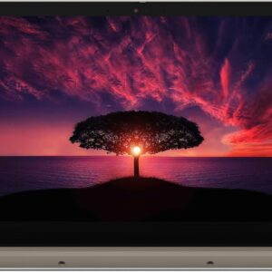 Lenovo New IdeaPad 3i Business Laptop, 15.6″ FHD Display, Intel Core i3-1115G4, Windows 11 Home, 8GB RAM 256GB SSD, Almond, 32GB Durlyfish USB Card