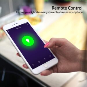 DOGAIN Smart Light Bulb Works with Alexa Google Home E12 Base WiFi Candelabra LED Light Bulb Color Changing Dimmable Chandelier Light Bulbs 360 lm 35w Equivalent 4 Pack (2.4GHz WiFi Only)