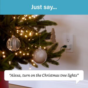 Legrand Radiant® Wi-Fi Matter Smart Plug Matter Hub Required 15A, Easy Setup, Enhanced Compatibility with Apple HomeKit, Google Home, Alexa & SmartThings, Easy Wi-Fi Connectivity w/Matter (1 Pack)