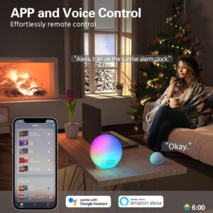 Sunrise Alarm Clock, Smart Wake-up Light Compatible with Alexa, Dual Alarms with FM Radio, Snooze Function for Heavy Sleepers, Adults&Kids